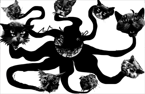 Publisher Talk: Gato Negro Ediciones image 0