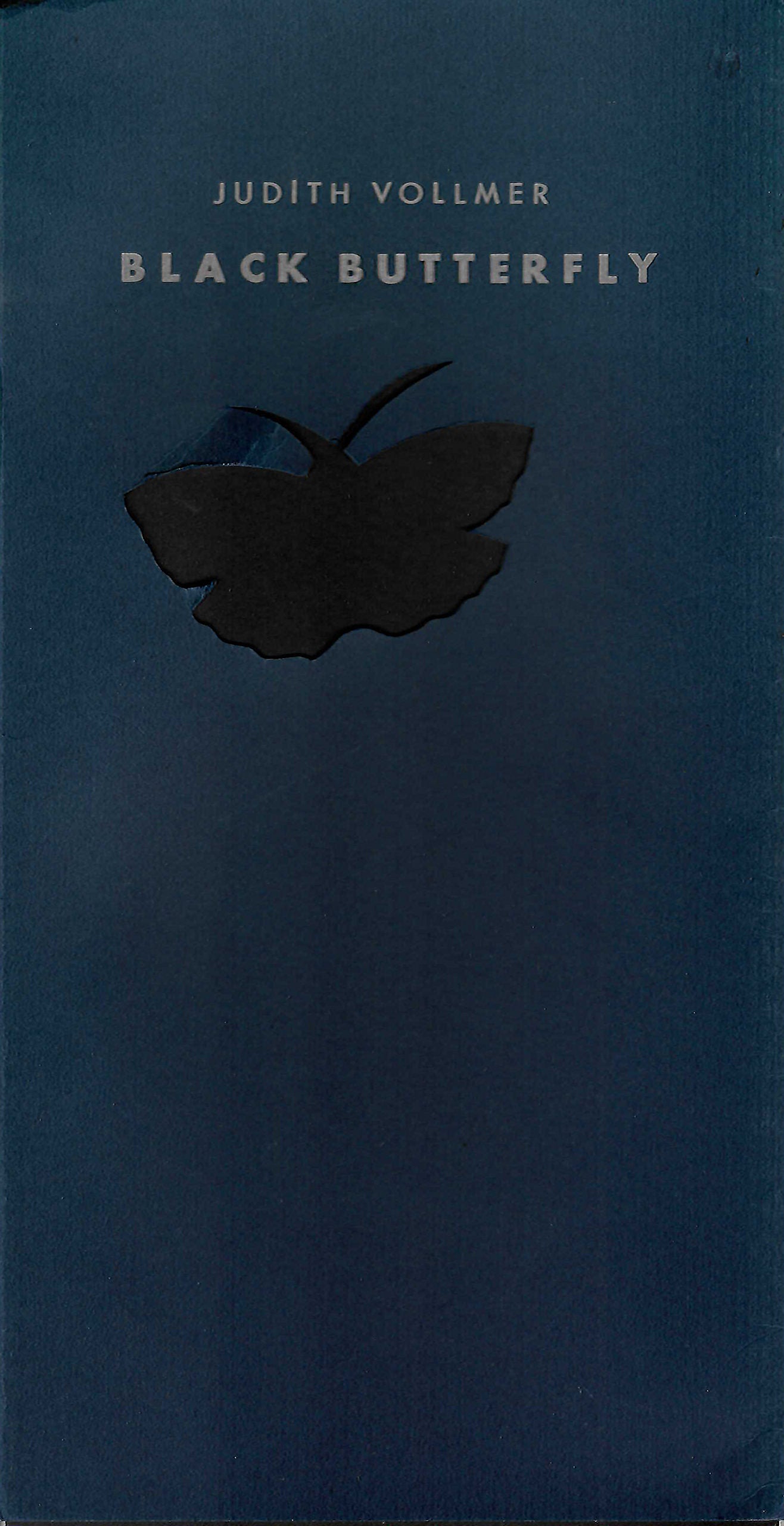 Black Butterfly image 0