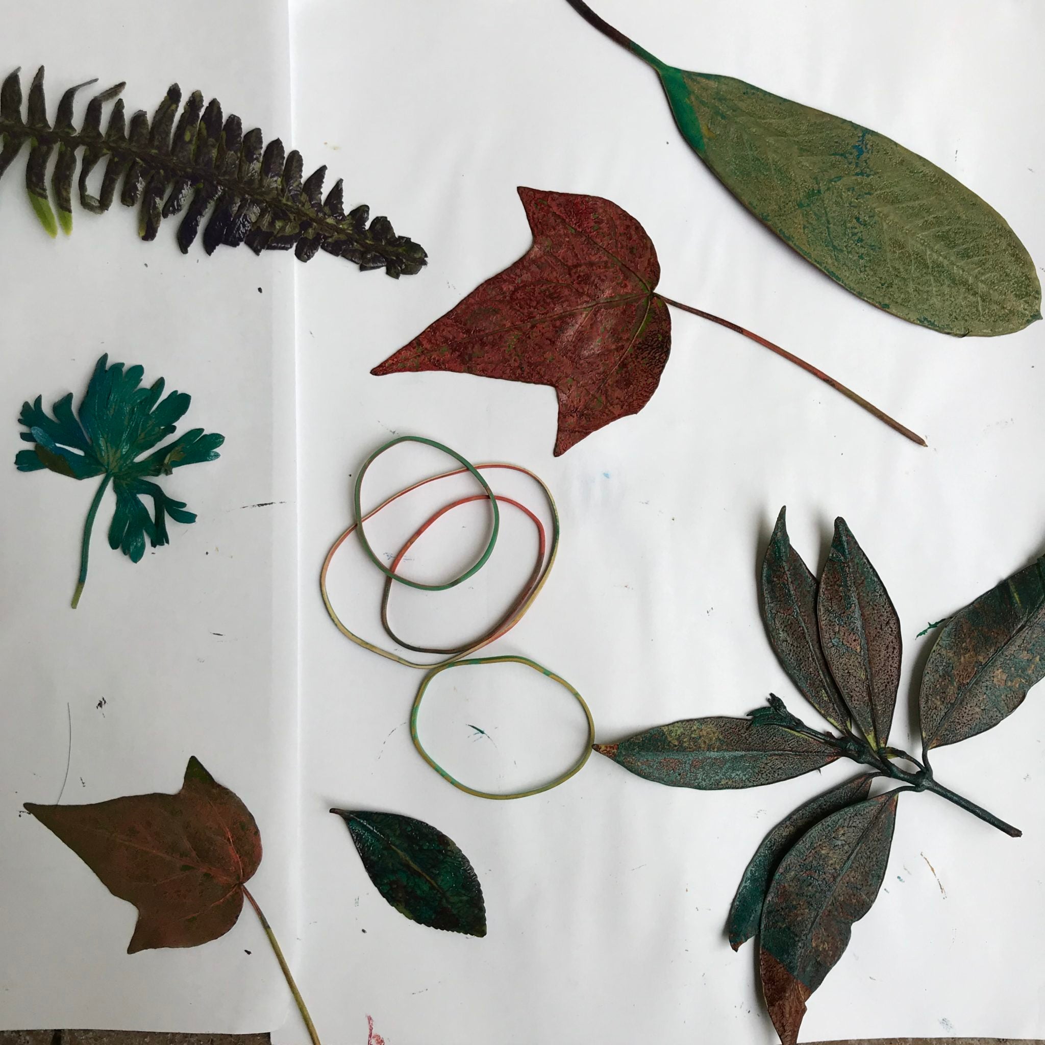 Gel Plate Printing Inspired by Nature