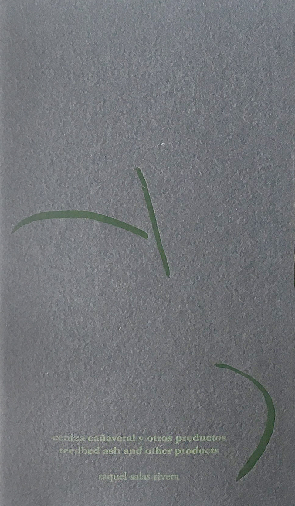 ceniza cañaveral y otros productos (reedbed ash and other products) image 0