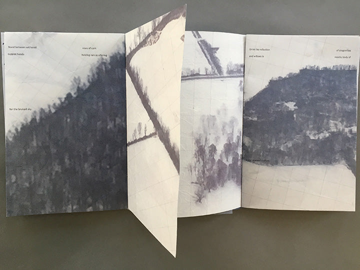 In Motion: Using Text and Image in Artist's Books 2021 image 0