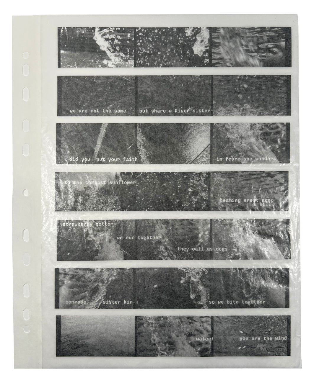 water/ by destiny brown